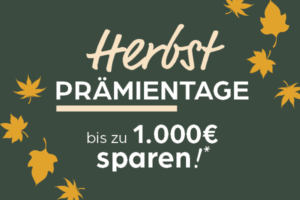 Herbstangebot, Rabatt, Saisonverkauf, Promo, Sparen