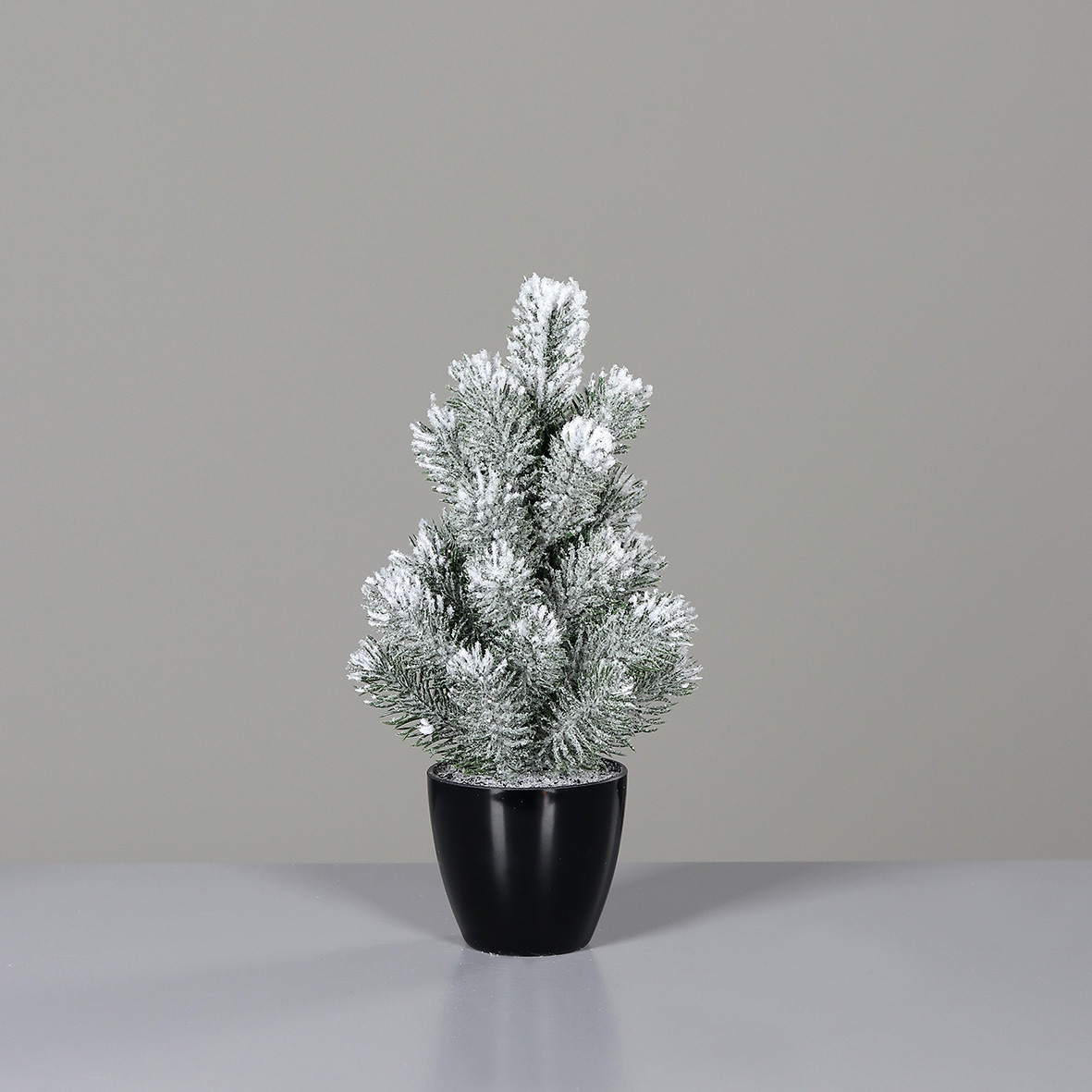 DPI Tannenbaum im Topf 31cm 313735 ca. 31cm in , Pflanze, Baum, Tanne, Konifer, Wetter