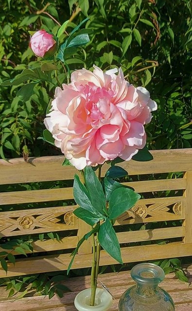 Andreas Päonie 68cm 2342753E1 in creme-aprikose Päonie 68cm 2342753E1 in creme-aprikose