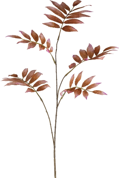 Roomio Sorbuszweig JAKOB Höhe ca. 82 cm in Fb. zimt, Blatt, Pflanze, Kunst, Blume