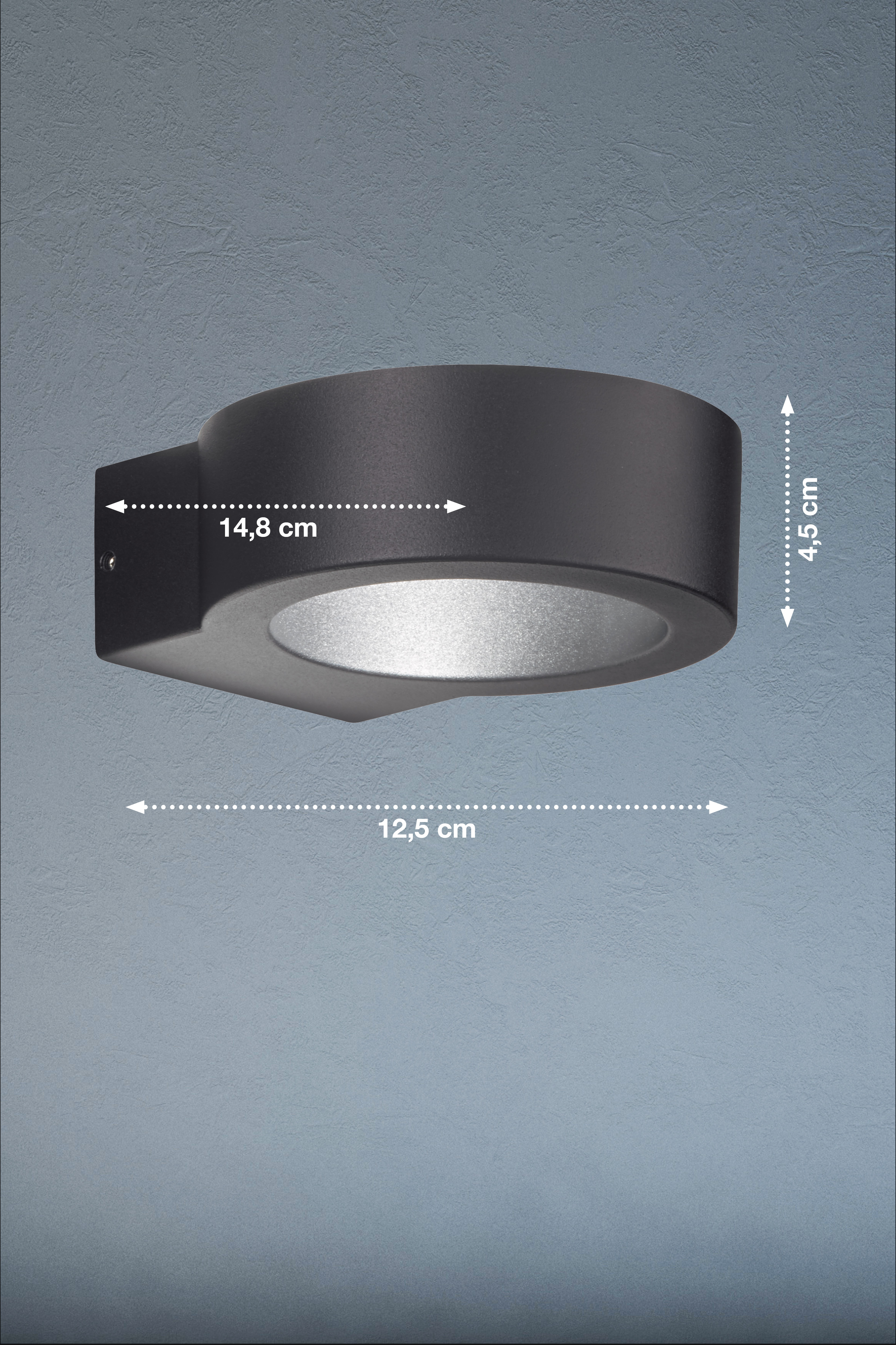 Fischer & Honsel LED-Wandleuchte TORRES in Metall schwarz/Glas klar