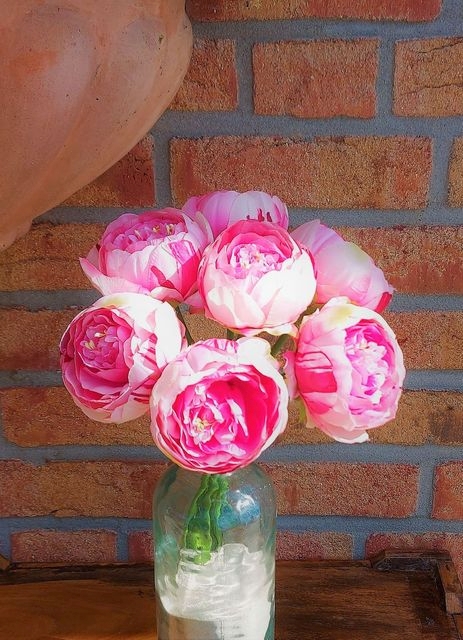 Andreas Päonienbund 32cm 2627515E1 in 7 Blüten, pink Päonienbund 32cm 2627515E1 in 7 Blüten, pink