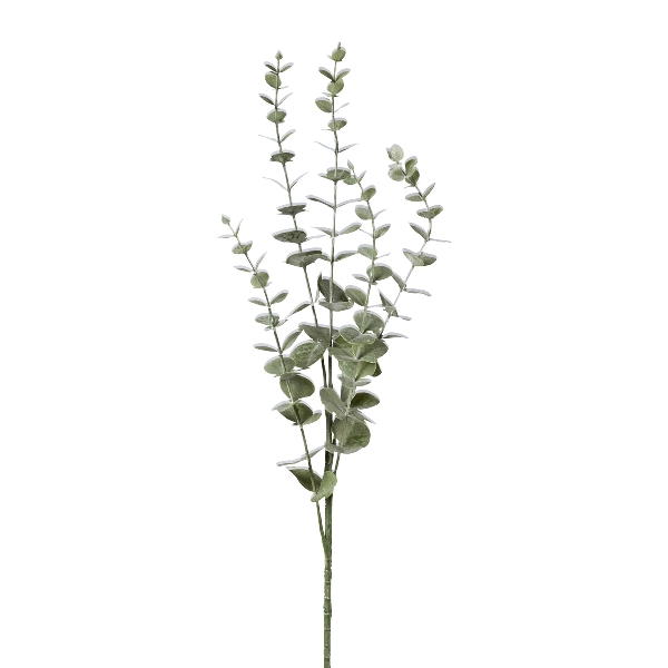 Eukalypthuszweig 73cm STIEVEN in Grau Eukalypthuszweig 73cm STIEVEN in Grau, Eukalyptus, Zwergpflanze, Kunstpflanze, Stängel, Blätter