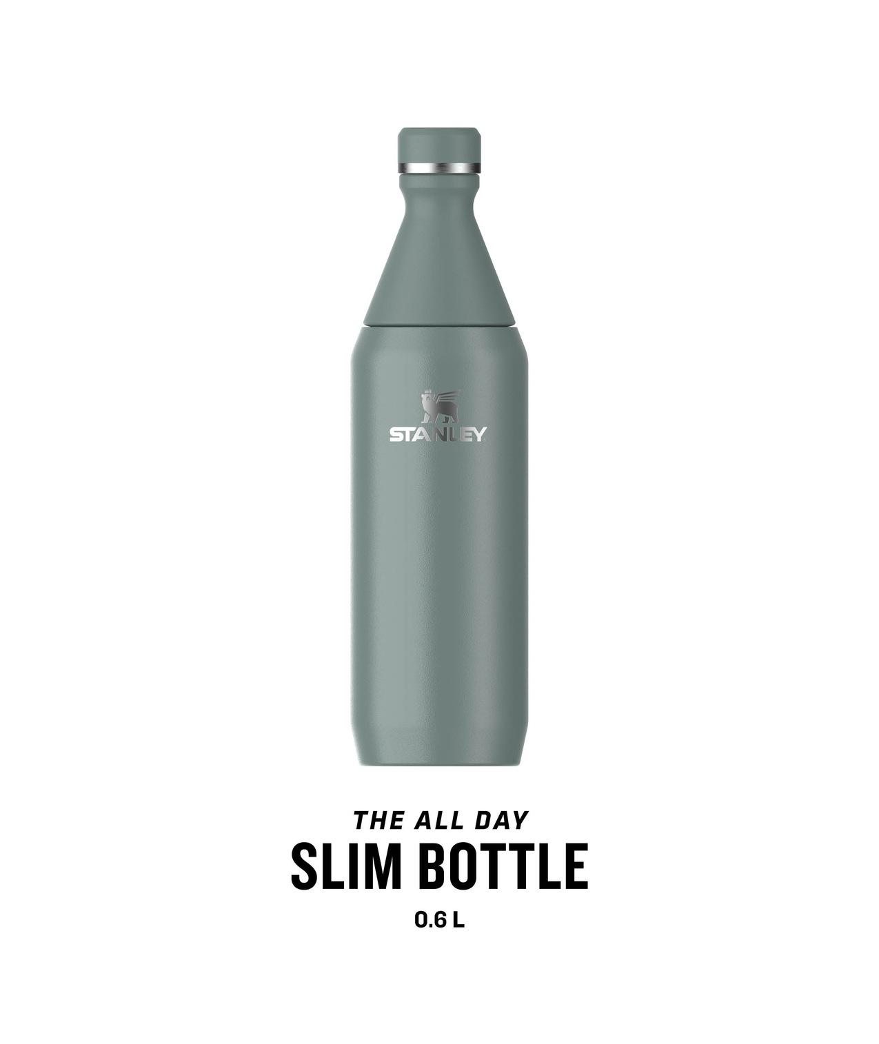 Stanley All Day Slim Bottle in Farbe Shale