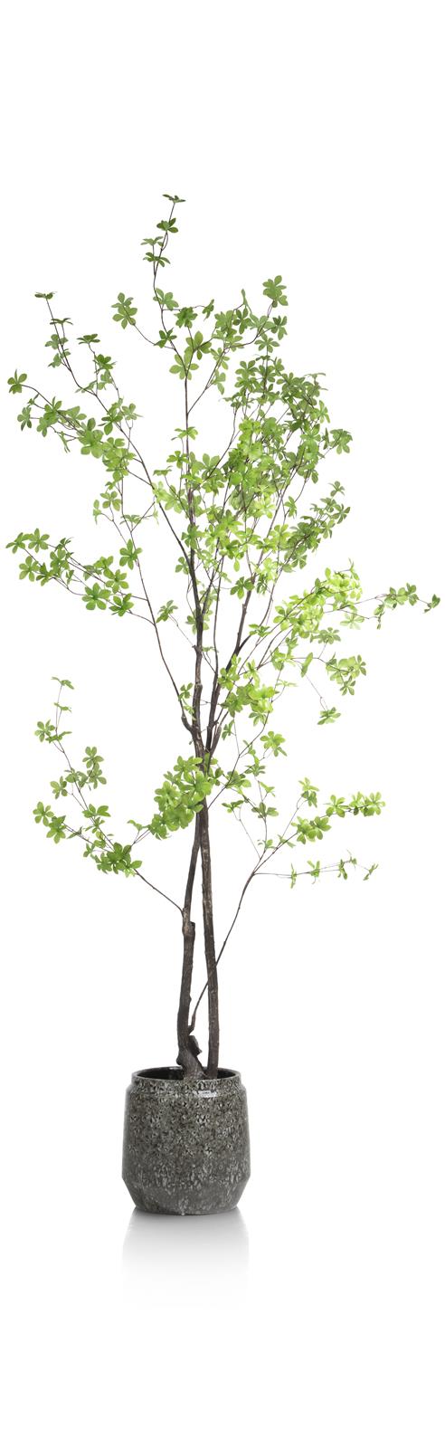 Coco Maison COCO MAISON Tropaeolum kunstpflanze h210cm 