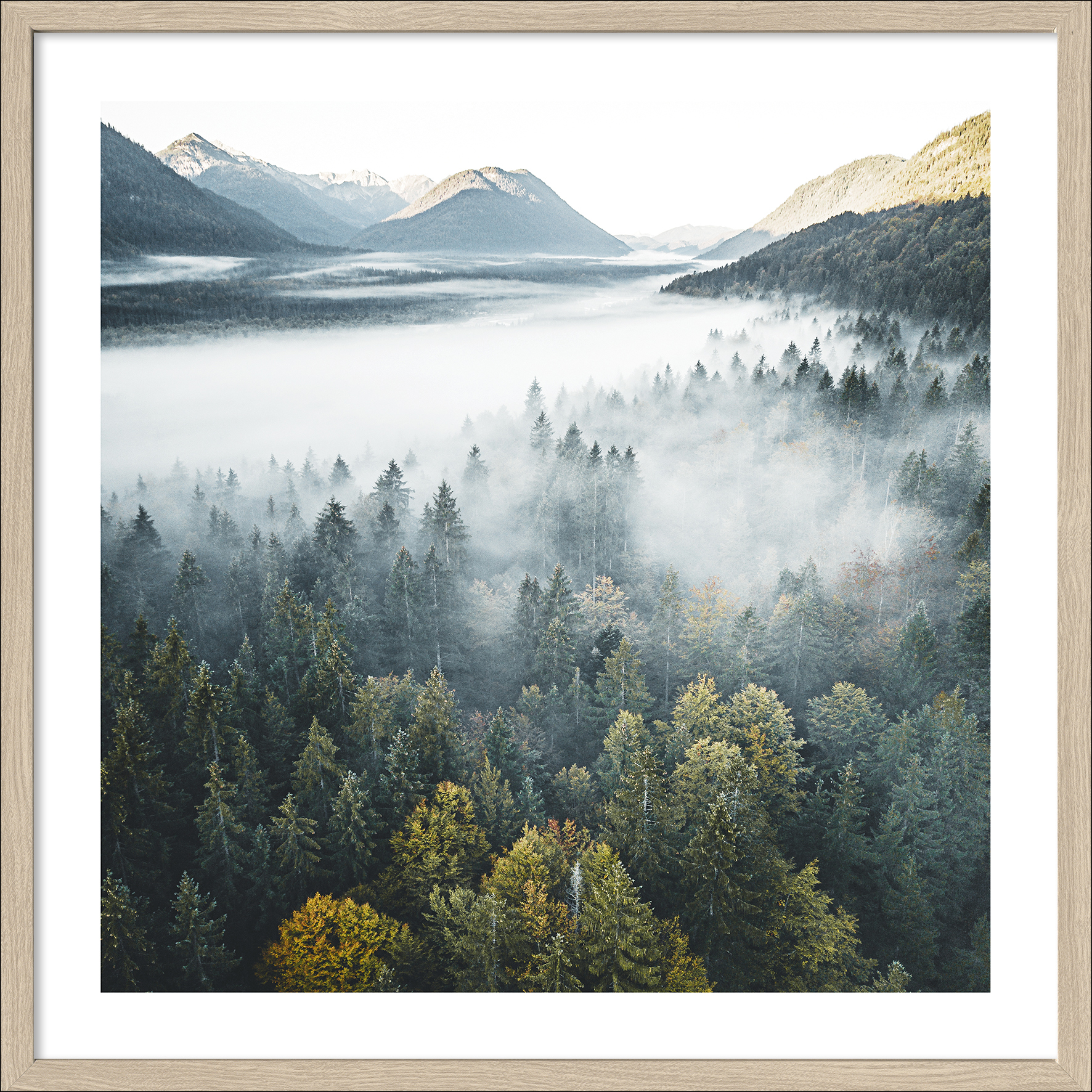 ProArt Framed-Art Slim Scandic 53x53cm Foggy Forest Atmosphere