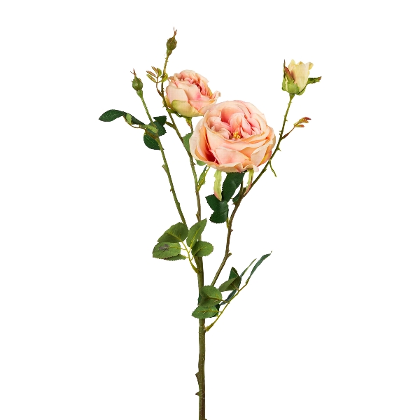 Rosenzweig x54/Poly 63cm 204003-11 in Rosa / Pink, Rose, Pfirsich, Stängel, Knospe, Blüte