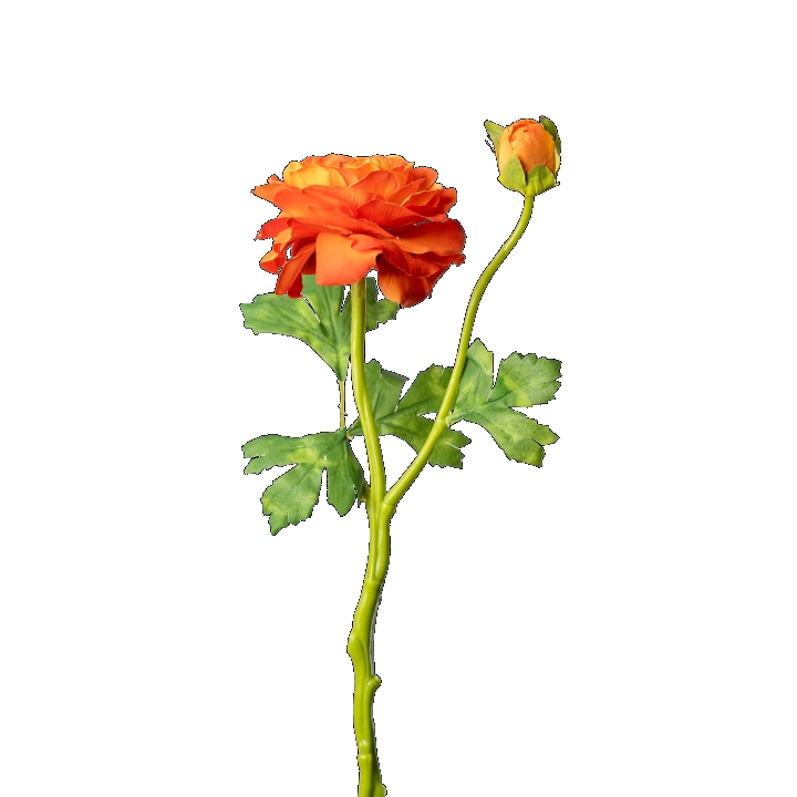 Ranunkel ca. 32cm 1024-334 in Orange, orange Blüte, Gerbera, Blütenstiel, grüne Blätter, Knospe Blüte