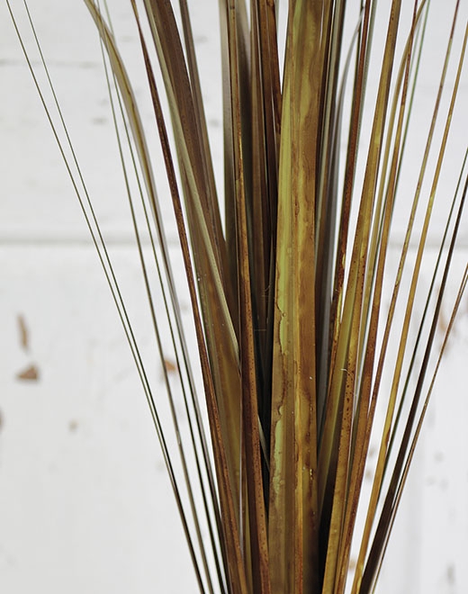  // Kugelgras // braun-grün // Höhe ca. 75 cm