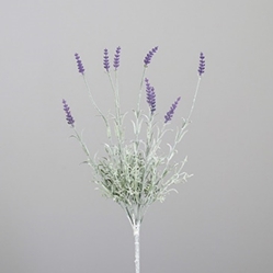 DPI Lavendel-Pick in Farbe violet DPI Lavendel-Pick in Farbe violet, Blume, Pflanze, Lavendel