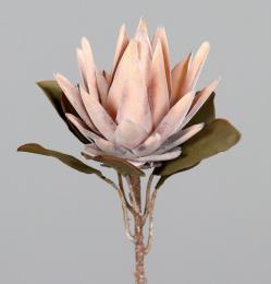 DPI Protea 89186-18 in 55cm Fb. orange