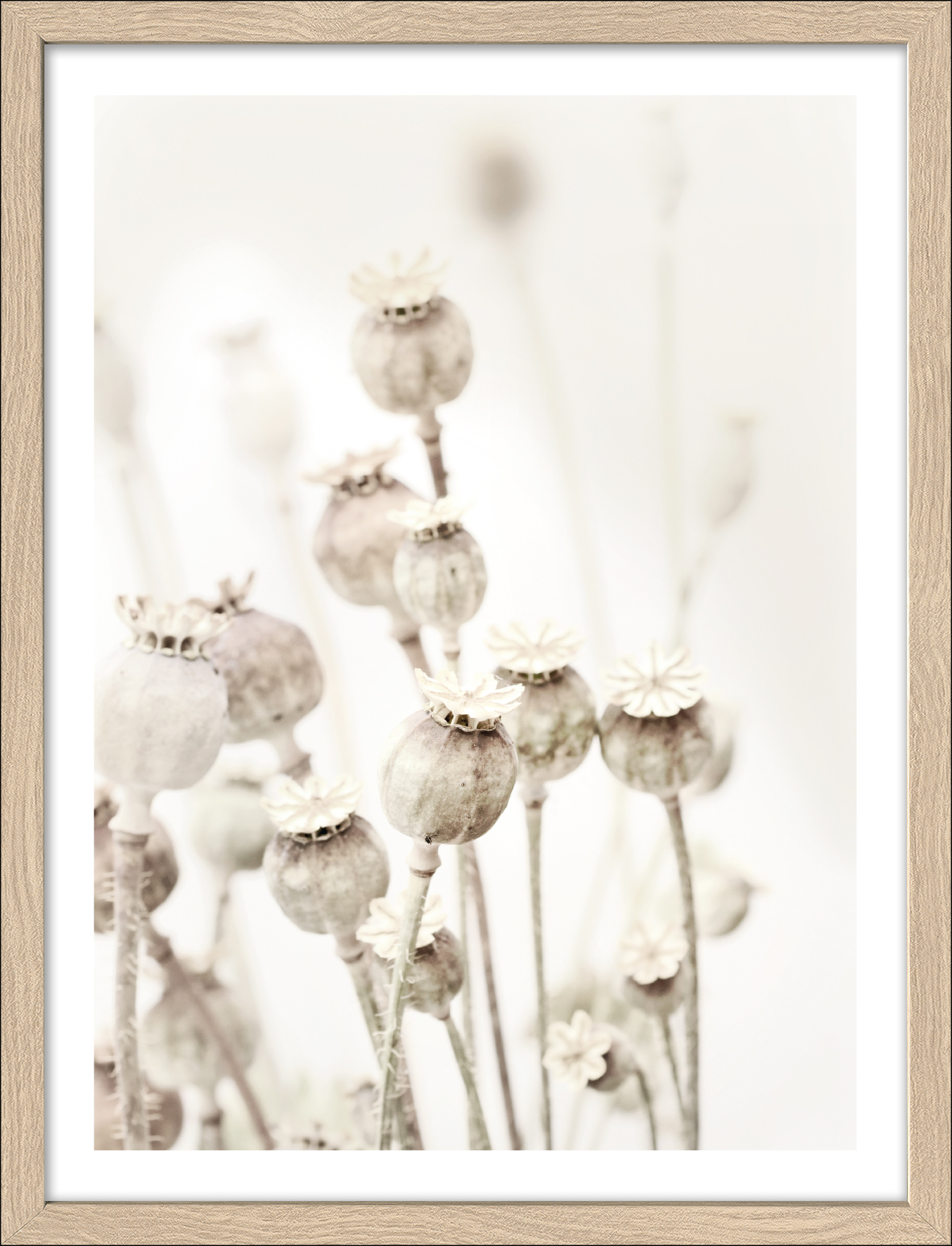 ProArt Framed-Art Slim Scandic 33x43cm Dried Poppies ProArt Framed-Art Slim Scandic 33x43cm Dried Poppies