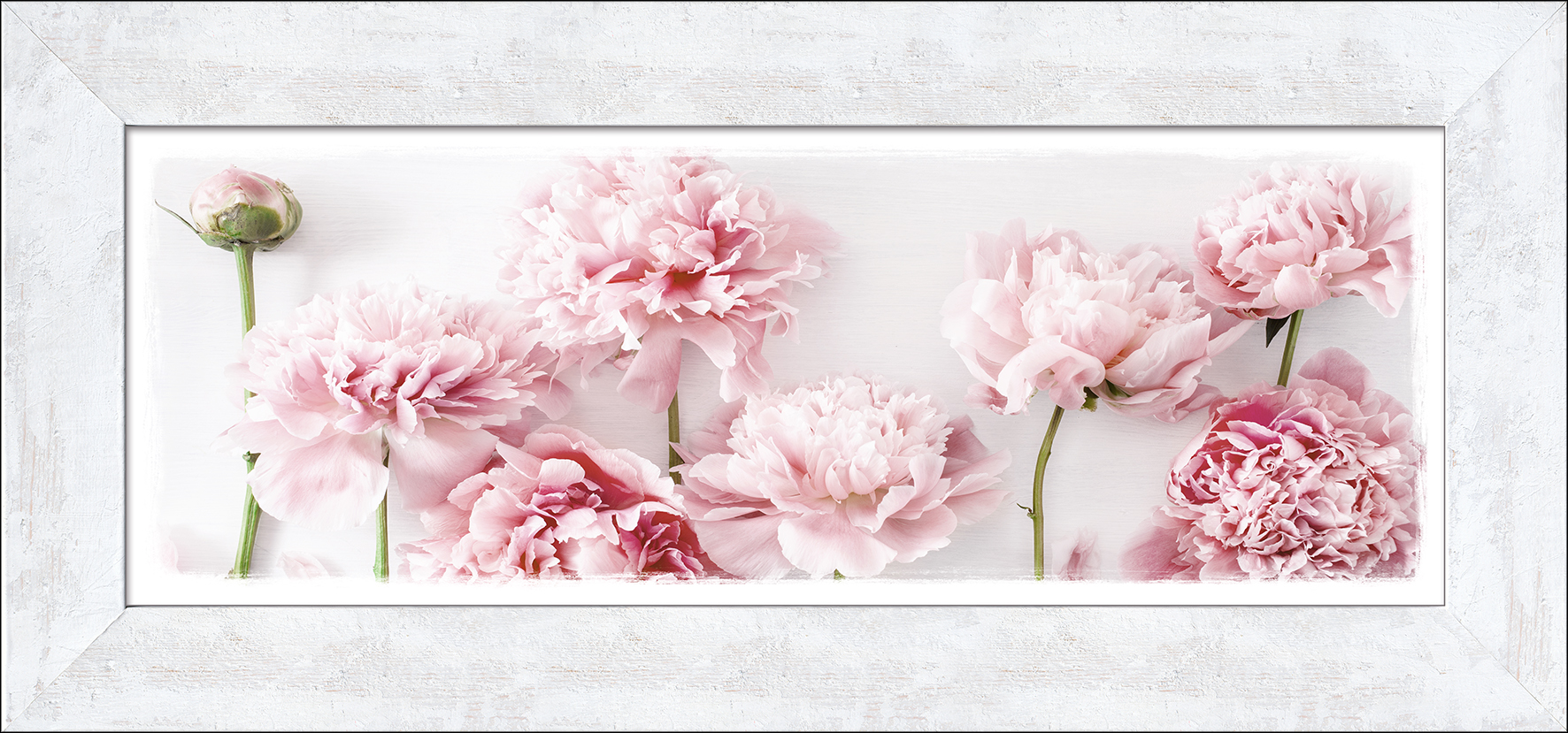 ProArt New Classic Wood 94x44cm Peonies l