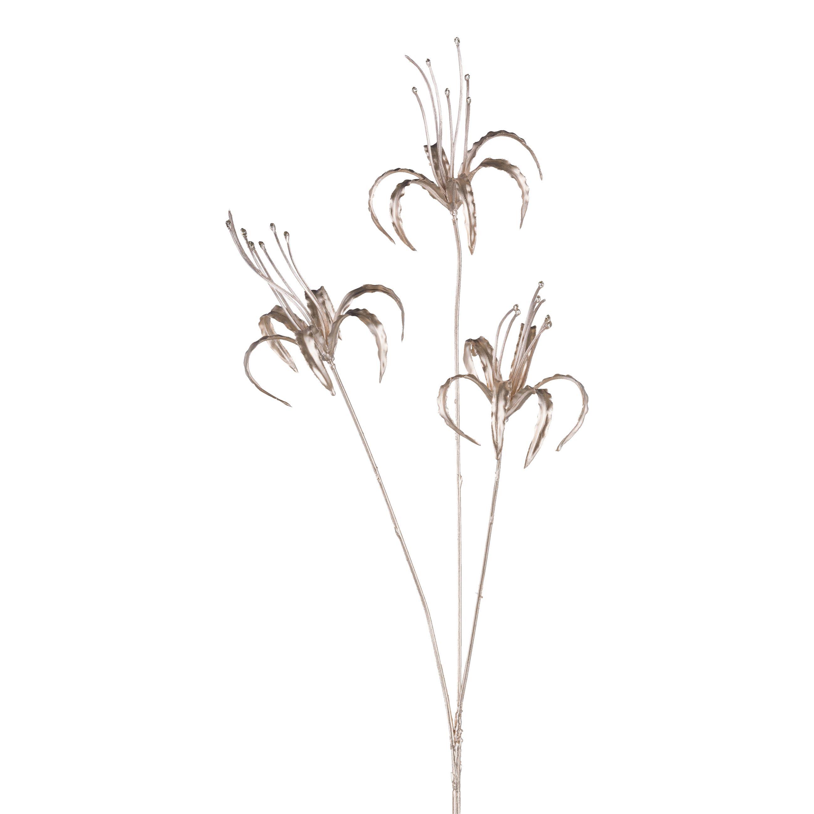 Gasper Nerine x3 BRANDON in champagner