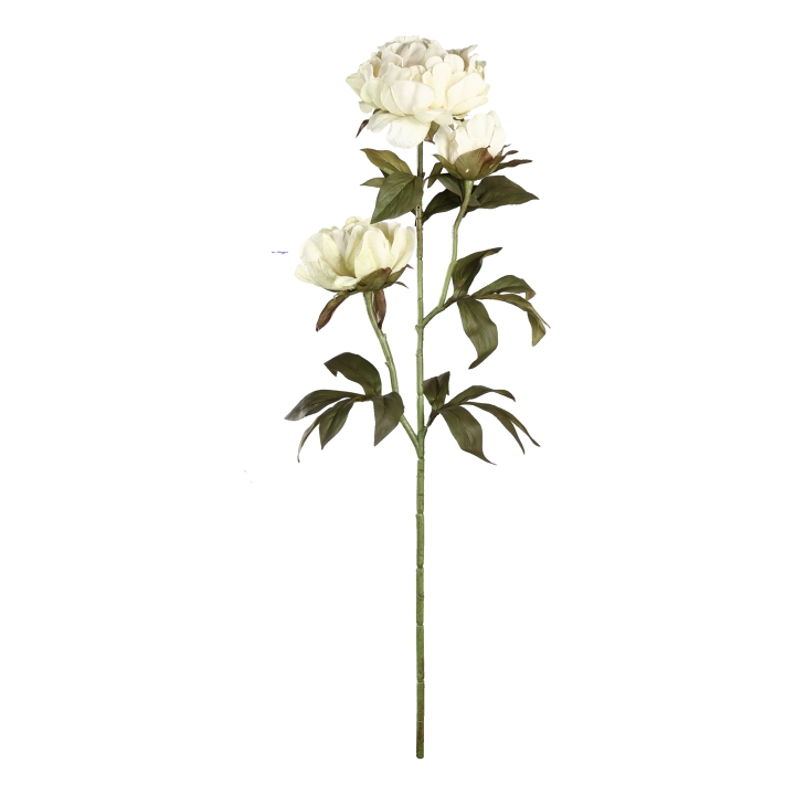 Eglo Living Kunstblume Pfingstrose SEMPORNA in Fb. creme Eglo Living Kunstblume Pfingstrose SEMPORNA in Fb. creme, Blume, Pflanze, Rose, Blumen-Arrangement, Blumenstrauß
