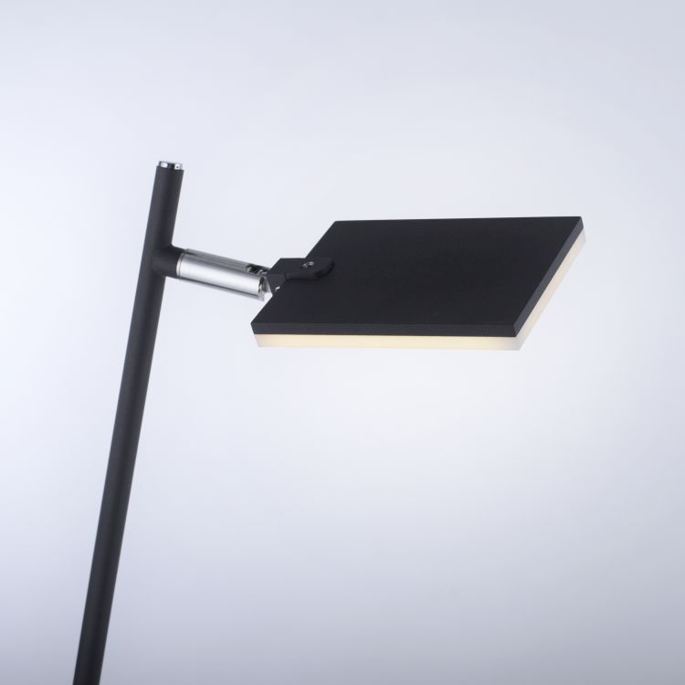 Paul Neuhaus LED-Stehleuchte Pure-Mira in Schwarz
