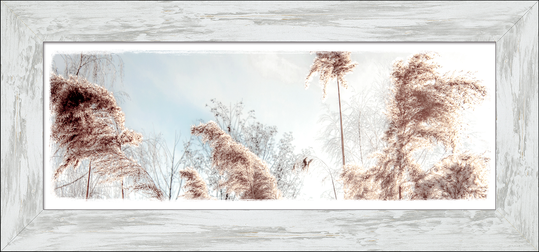 ProArt New Classic Wood 94x44cm Dried Fiber