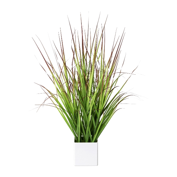 Blutgras im weißen Topf 61cm in , Kunstrasen?, Graspflanze, Topfpflanze, Kunstpflanze, Grüne Pflanze