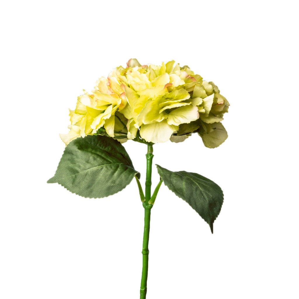 Hortensie ca.40 cm 1027-788 in Mehrfarbig Flower Manufaktur Hortensie ca. 40cm in Farbe Creme/Grün