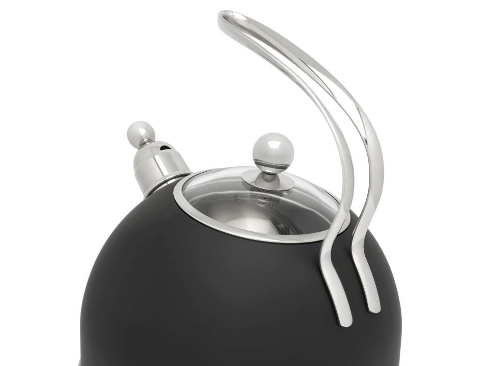 Bredemeijer Flötenkessel Universal 2,5 Liter in Farbe schwarz Bredemeijer Flötenkessel Universal 2,5 Liter in Farbe schwarz