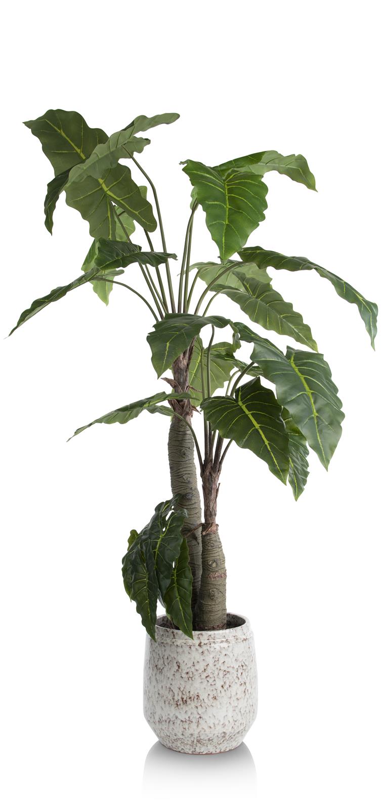 Coco Maison Kunstblume ca. B40 H180 T40 cm in alocasia giant tree