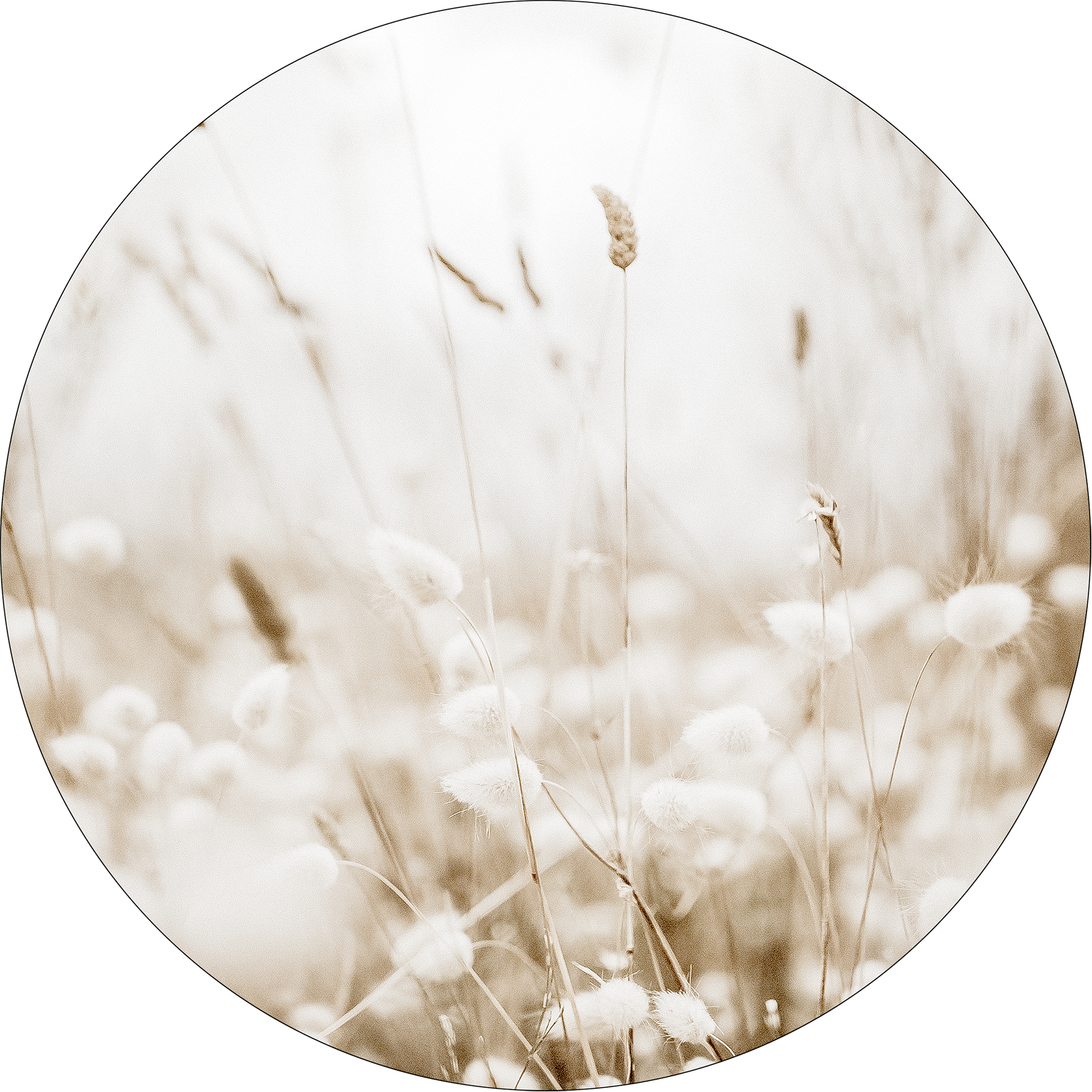 ProArt Glas-Art rund Ø 50cm Meadow Flowers III ProArt Glas-Art rund Ø 50cm Meadow Flowers III