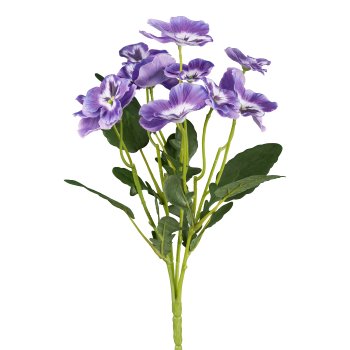 Gasper Stiefmütterchenbusch in Farbe Lila