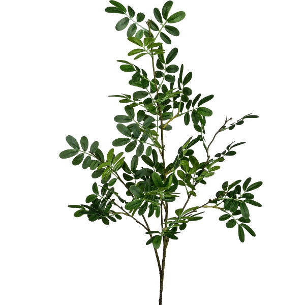 Gasper Moringazweig, 105cm,grün in Farbe Grün, zweig, blätter, pflanze, zweig mit blättern, grüne pflanze