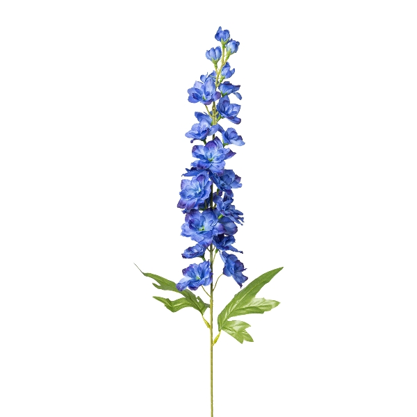 Gasper Rittersporn, 86 cm, blau in Farbe Blau, blume, delphinium blue, delphinium, blütenstange, pflanze