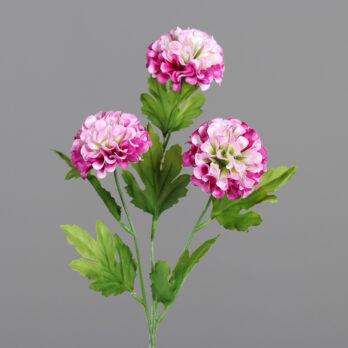 DPI Chrysantheme 54 cm CHRYSANTHEME in fuchsia