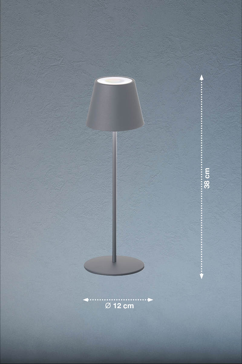 FH Lighting LED-Tischleuchte COSENZA in Metall sandgrau