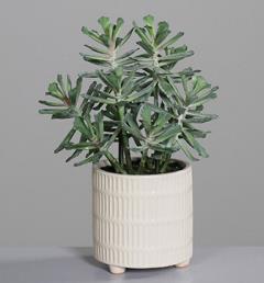 DPI Sukkulenten Arrangement 31cm in im Keramiktiopf beige