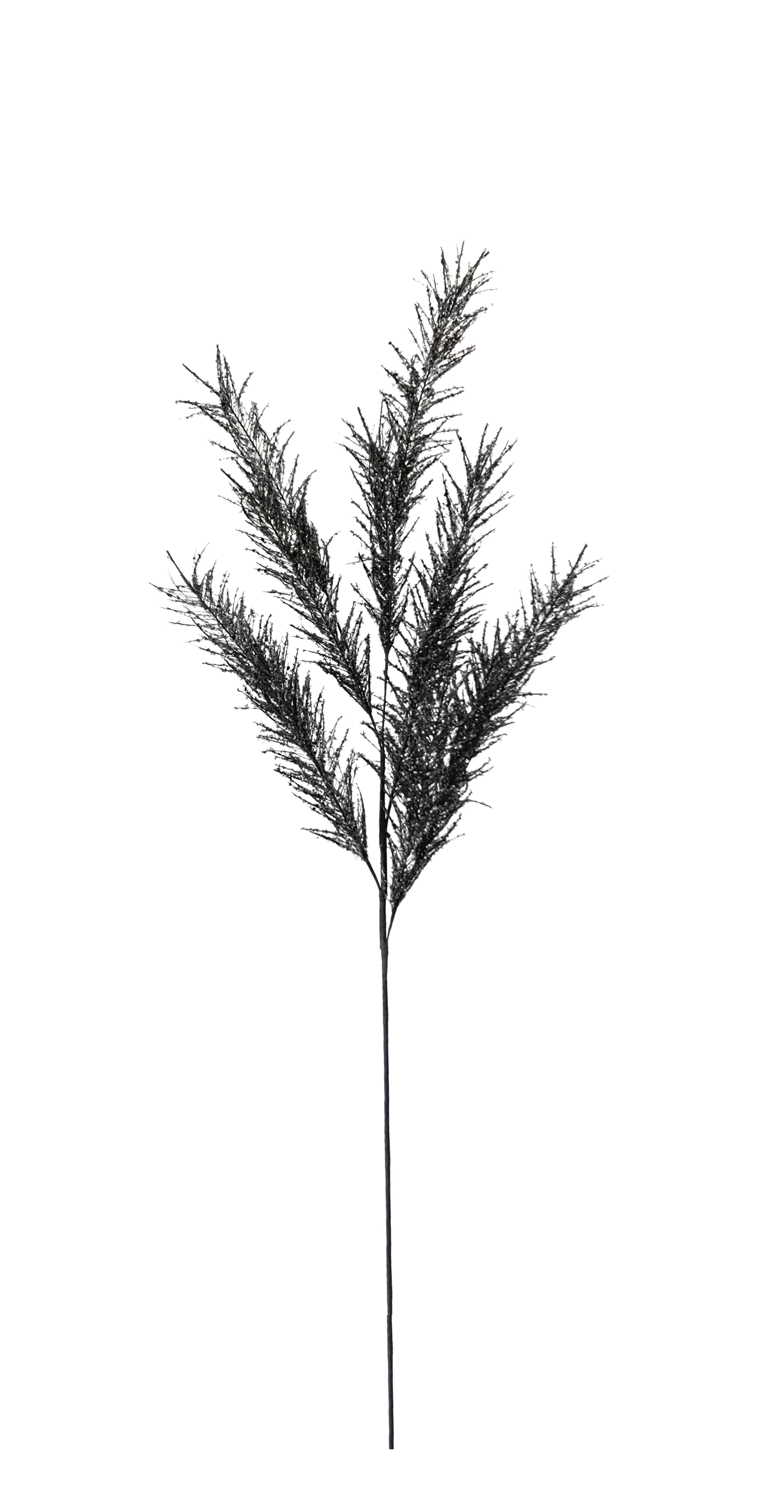 Flower Manufaktur Pampaswedel ca. 110cm in Farbe Schwarz/Silber