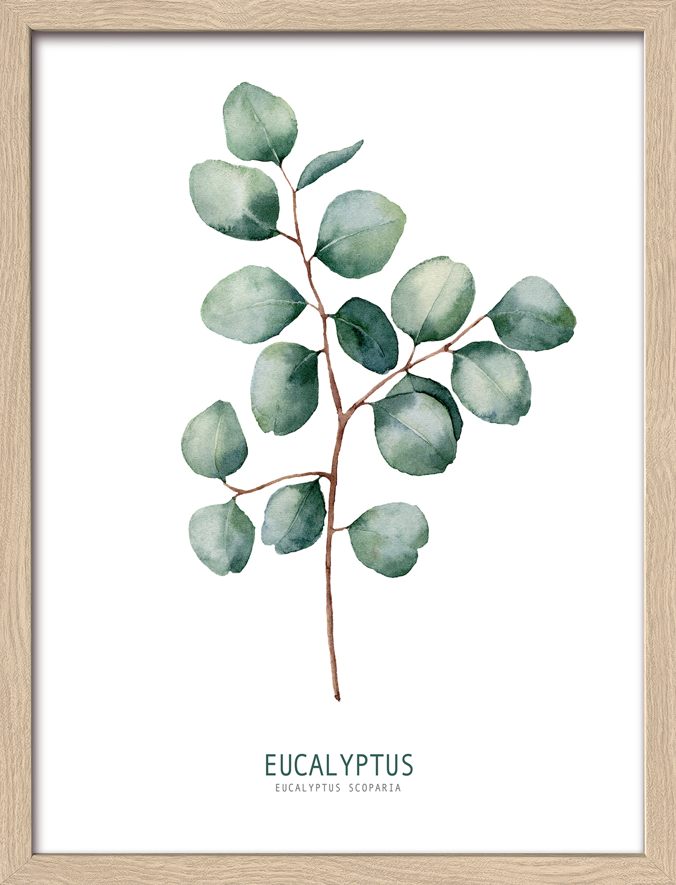 ProArt Framed-Art Slim Scandic 33x43cm Different Eucalyptus Branches ll