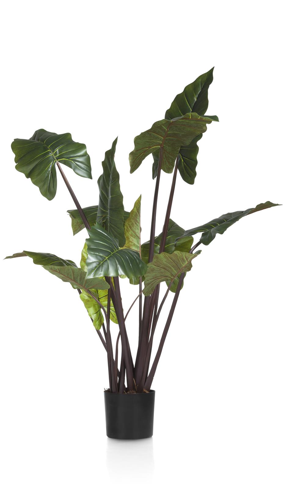 Coco Maison Kunstblume ca. B70 H130 T70 cm in Colocasia, grün