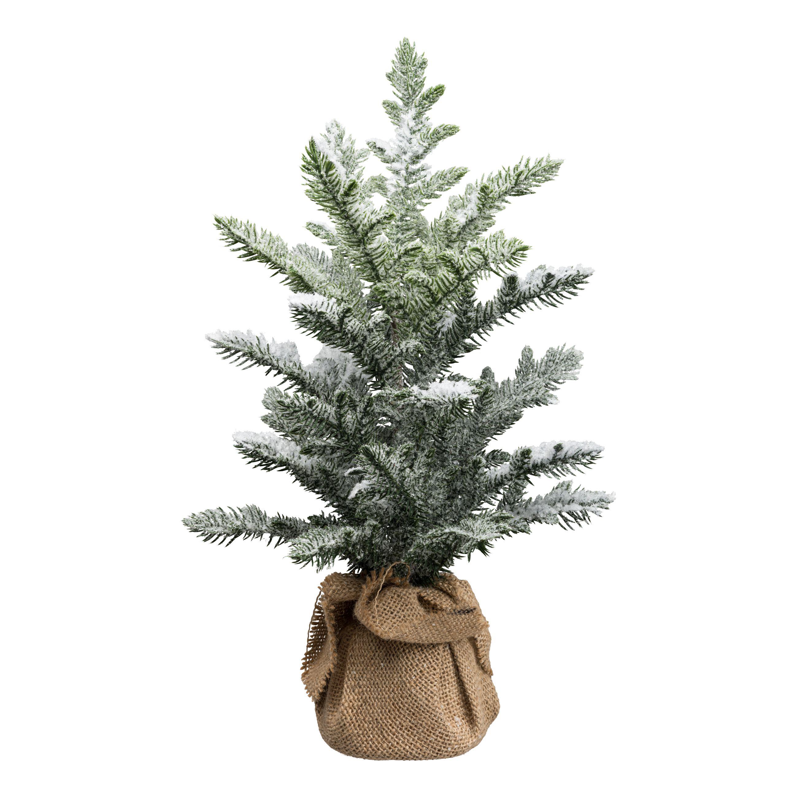 Gasper Araucaria im Jutesack WALDO in schnee, Pflanze, Baum, Kiefer, Handtasche, Konifer