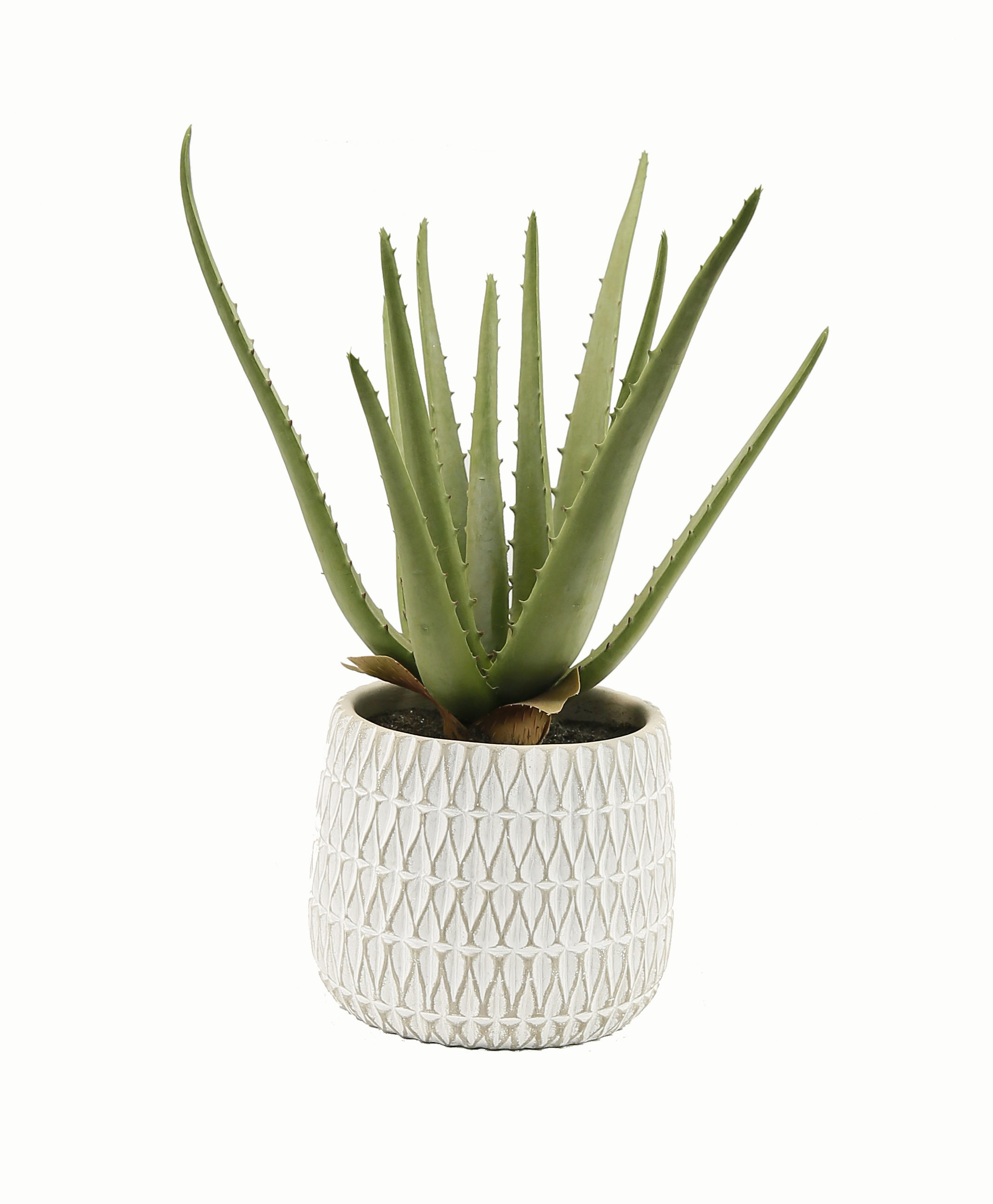 Flower Manufaktur Aloe getopft ca. 35cm in Farbe Grün