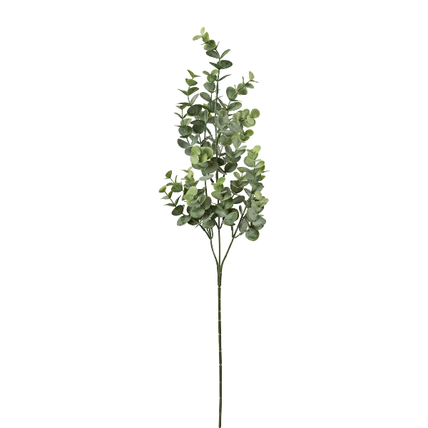 Eukalypthuszweig 69cm 1019081-92 in Grau Gasper Eukalyptuszweig in Farbe Grau