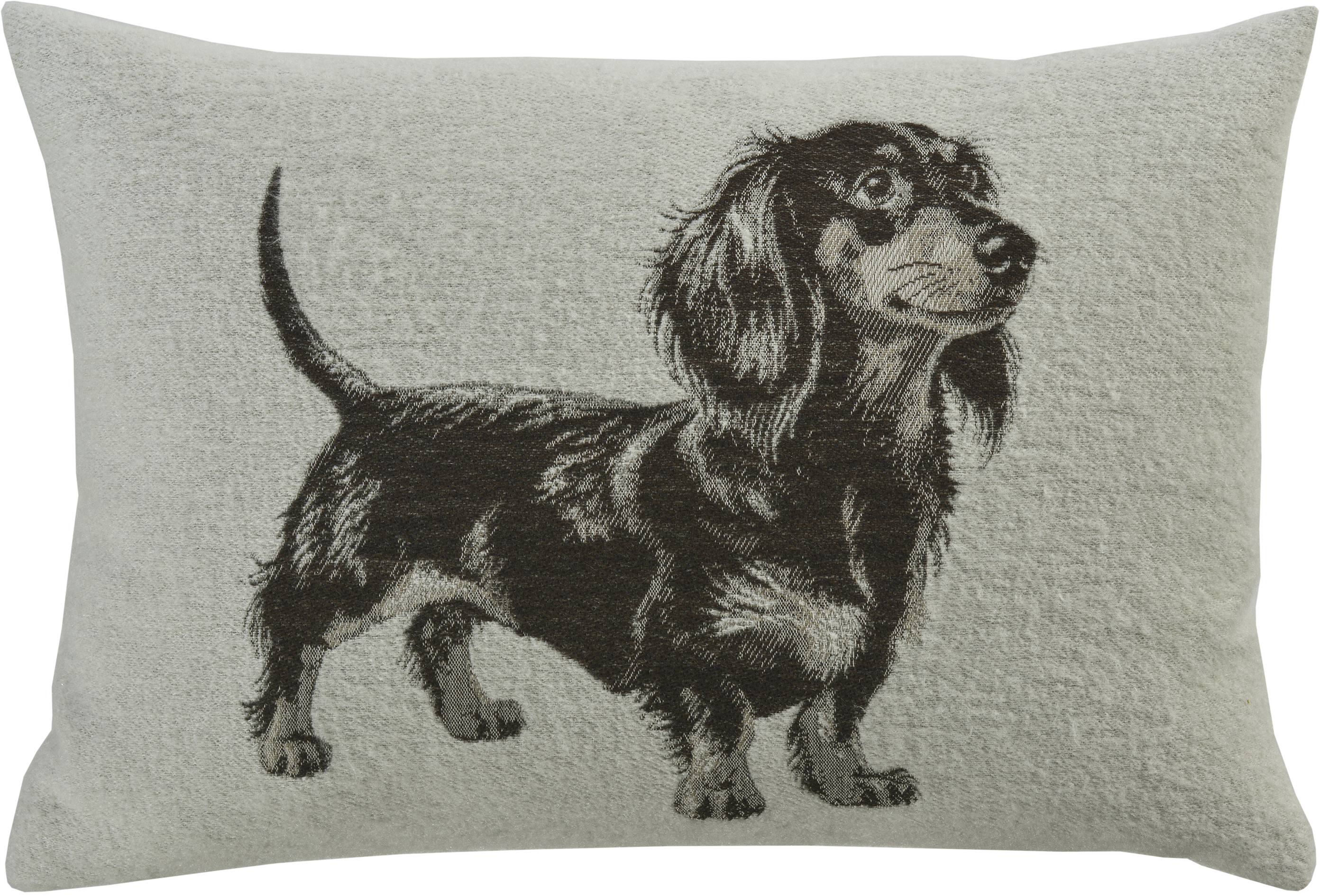 Sander Kissenhülle BIRILLO ca. 40x60cm in Farbe cloud, Kissen, Dackel, Hund, Stoffkissen, Tiermotiv