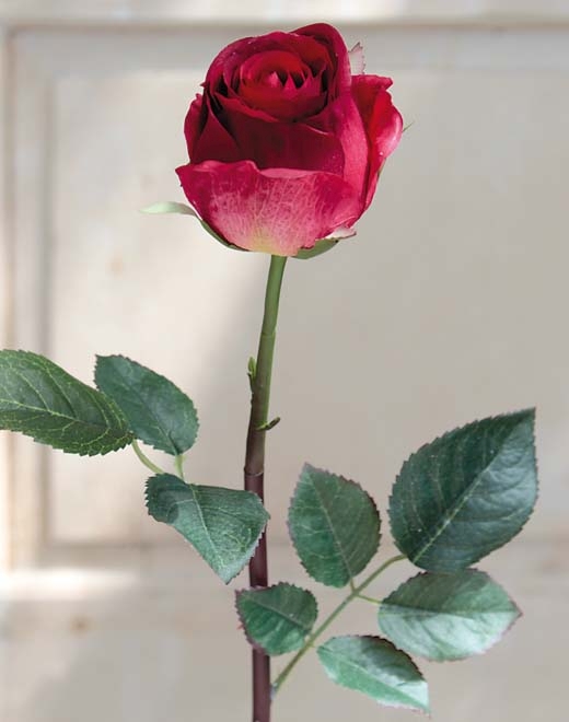  // Rose // rot-grün // Höhe ca. 58 cm