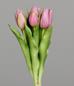 DPI Tulpen Bund fuchsia 31 cm 87030-17 in 3 Blüten, 2 Knospen