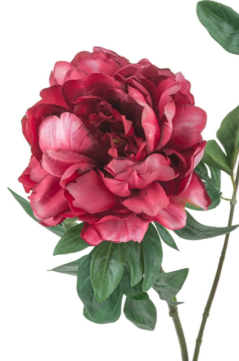 Päonie 68cm 2342405E1 in rot-rosa