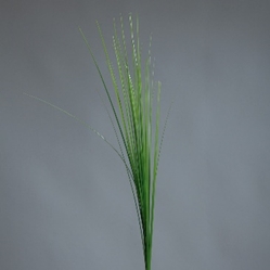 DPI Isolepsis in Farbe light green