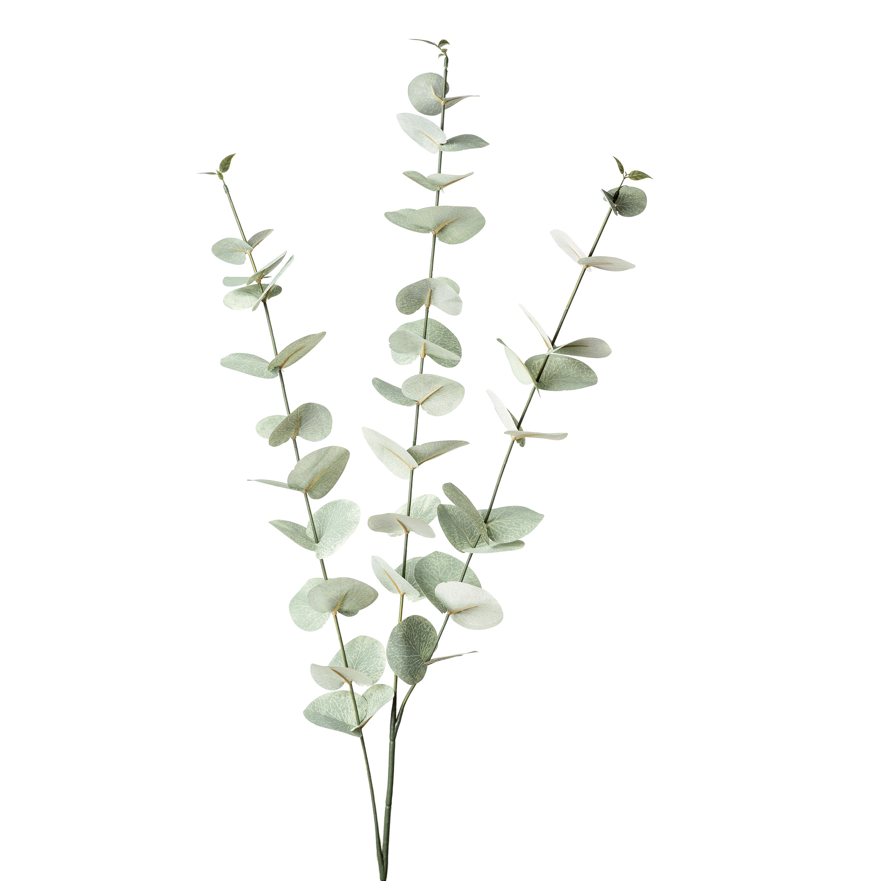 Flower Manufaktur Eukalyptuszweig ca. 100cm in Farbe Grün