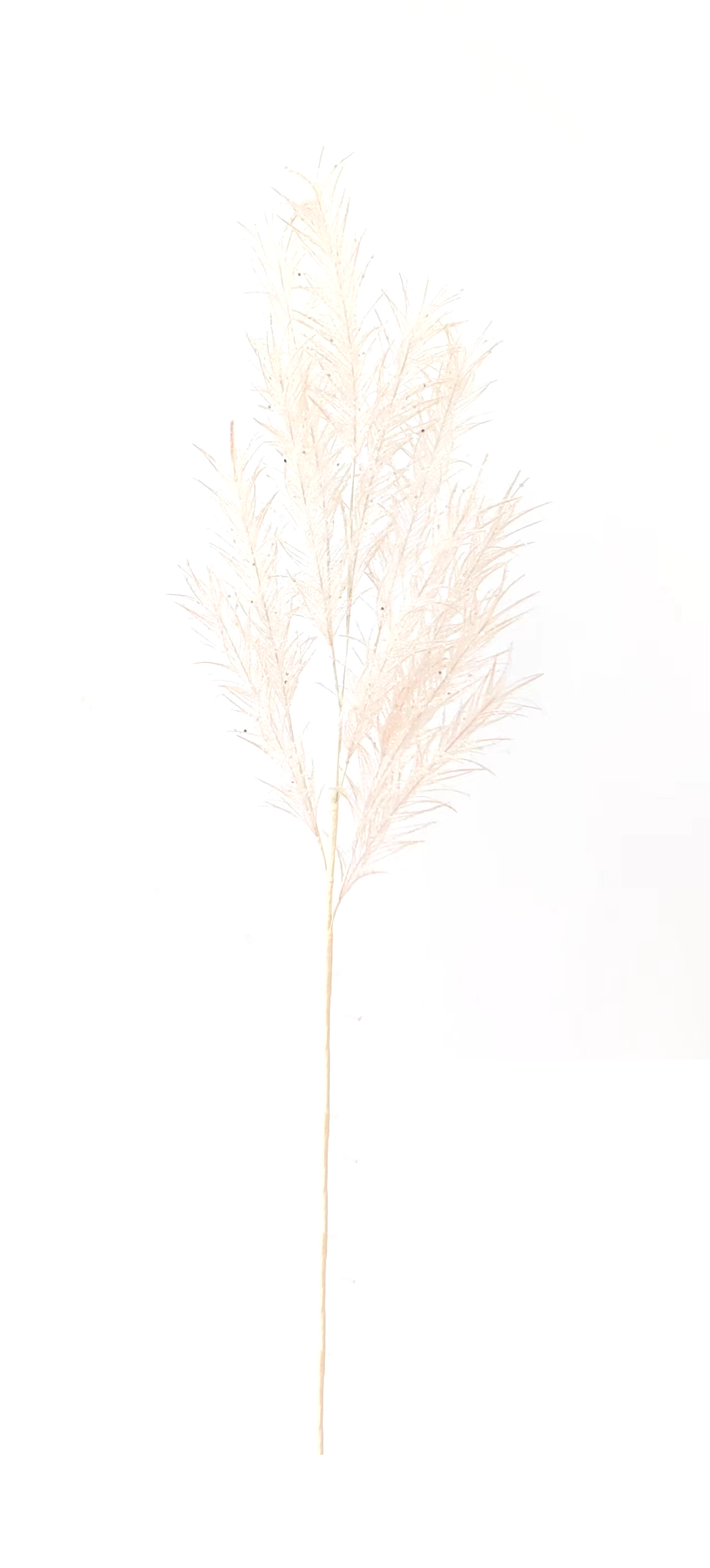 Flower Manufaktur Pampaswedel ca. 110cm in Farbe Champagner/Camelie