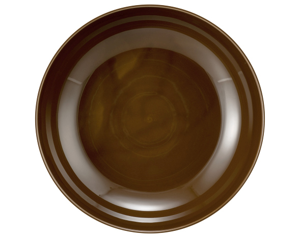 Seltmann Weiden Foodbowl 25cm Terra 3 Erdbraun Seltmann Weiden Foodbowl 25cm Terra 3 Erdbraun