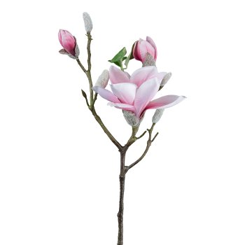 Magnolie 69cm altrosa 3024111-13 in Rosa / Pink Gasper Magnolie in Farbe Altrosa