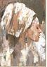 L.C. Wholesaler Ölbild Frau mit Turban 90x120 FRAU MIT TURBAN ca. 90x120 cm in 