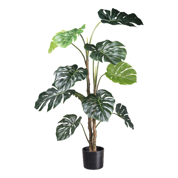 Gasper Splitphilodendron 12 Blätter in Farbe Grün 140 cm, Blatt, Pflanze, Baum, Palme, Blume