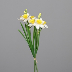DPI Narzissen-Bund in Farbe yellow-white, Blume, Pflanze, Narzisse, Blumen-Arrangement